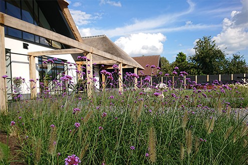 groenvoorzieningen Tuinen muitituin en landschap