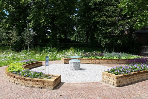 groenvoorzieningen tereininrichting muitituin en landschap